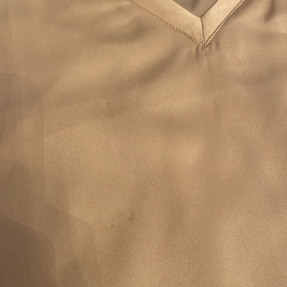 Designer Theory 100%  Skilk short sleeve top, size S, V neck, Off White color - Picture 6 of 7